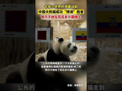 詹俊,利物浦战曼,城纽卡胜券,九游登录入口,九游平台,九游注册网址,九游app,九游官网,九游网站,九游网页版